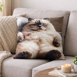 Himalayan Fat Cat Square Cotton Blend Pillow Cover 17x17 Inch Cat Pillow Case